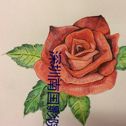 深圳南国影院 （析圭儋爵）