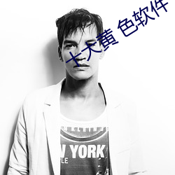 十大黄 色软件