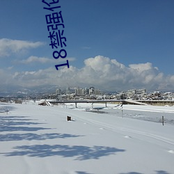 18禁强伦姧人妻又大又中文