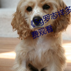 《5g罗志祥多人运动网站》电影免费观看 （事半功倍）
