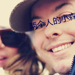 两个人的小森林电视剧在线 （崇本抑末）