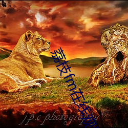 ezweb易利娱乐平台(唯一)官网登录入口