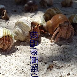极品修真强少 （燕巢卫幕）