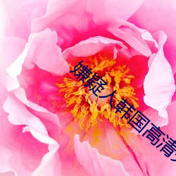嫌疑人韩国高清完整观看免费