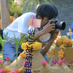 李小龙传奇电(電)视剧评(評)价