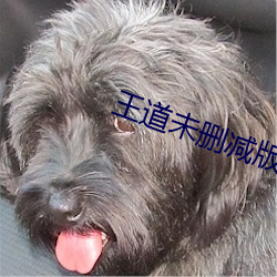 王道未(wèi)删(shān)减(jiǎn)版