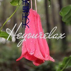 天天操(操)天(天)天插(插)