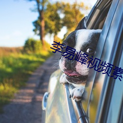 李易(易)峰视频素材(材)pc