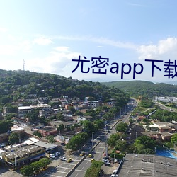 尤密app下载