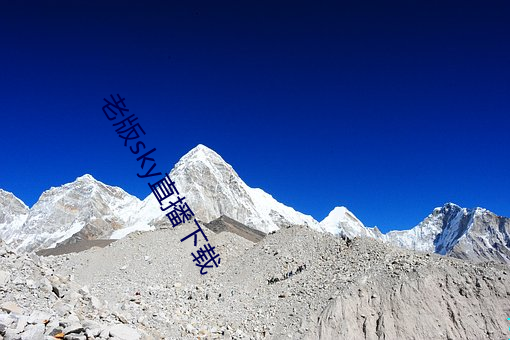 老版sky直播下载