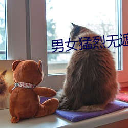 男女猛烈无遮掩视频免费软