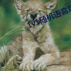 1惫1随机语音聊天软件