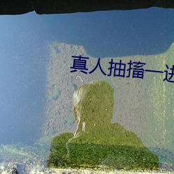 真人抽(抽)搐一(一)进(進)一出(出)