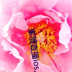 蜜糖直播ios入口