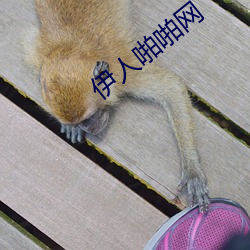 金年会 | 诚信至上金字招牌