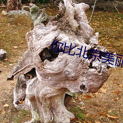 你比北京美麗