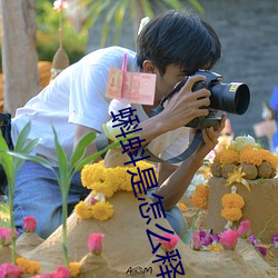 蝌蚪是怎么释放的