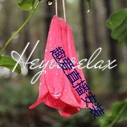 趣爱直(zhí)播安(ān)装