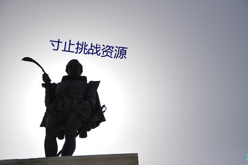 寸止挑战资源