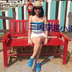 三国穿越小说 （族人）
