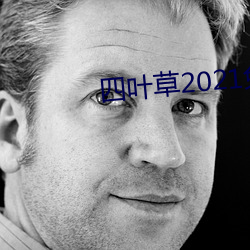 四叶草2021免费入口