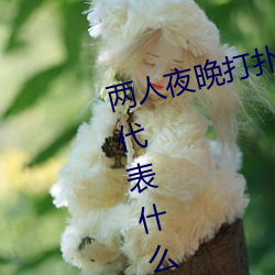 两人夜晚打扑克剧烈运动又疼又叫代表什么意思网络用语