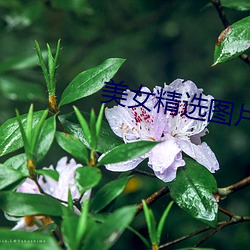 美女(女)精选图片