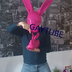 GAYTUBE