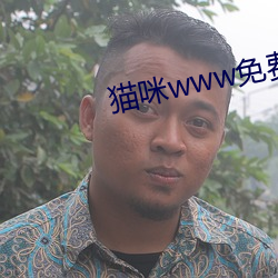 猫咪(咪)www免(免)费(費)人成(成)网(網)站在线