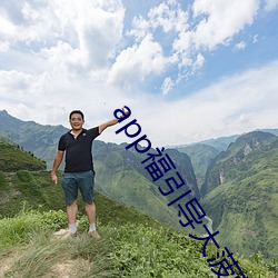 app福引導大菠蘿