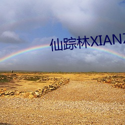 仙踪林XIANZONGLIN下载