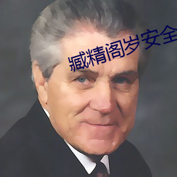 臧精(jīng)阁岁安全入口