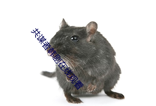 ıߺ߹ۿ Ե飩