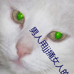 男人用jj捅女人的jj30分