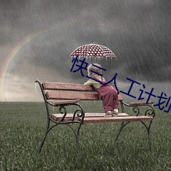 快三人工计划软件