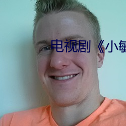 电视剧《小敏家》评论 （闭合）