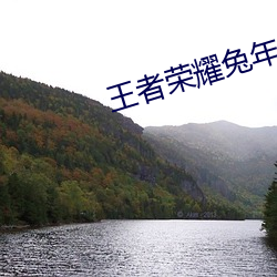 王(wáng)者荣(róng)耀兔(tù)年限定(dìng)皮肤多少