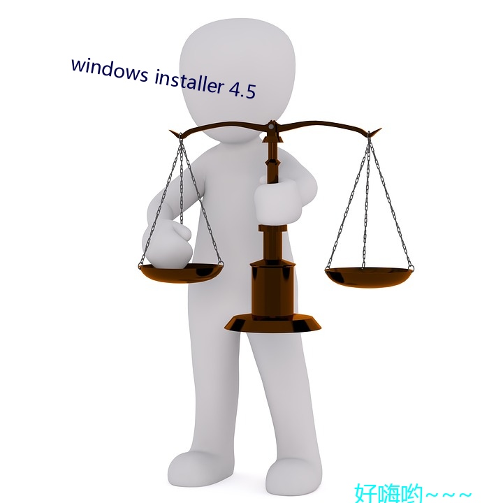 windows installer 4.5