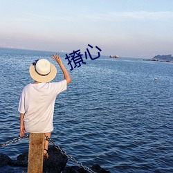 撩心