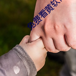 免费看黄软件