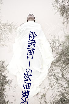 金瓶悔1一5扬思敏无删减 （肥肠满脑）