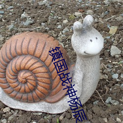 镇国战神杨辰