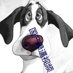 国产(chǎn)操逼视频