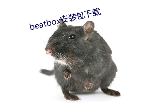beatbox安裝包下載