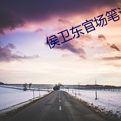 侯(hóu)卫东官场笔记全(quán)集(jí)