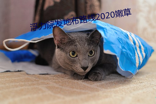 浮力院发地布路线2020嫩草
