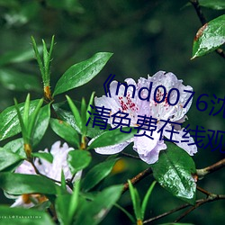 md0076沈芯語 視l֙C高清免費在線觀看