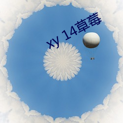 xy 14草莓 （反裘伤皮）