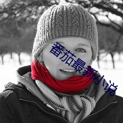 番茄最新小说 （更深人静）