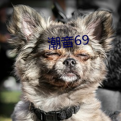 潮音69